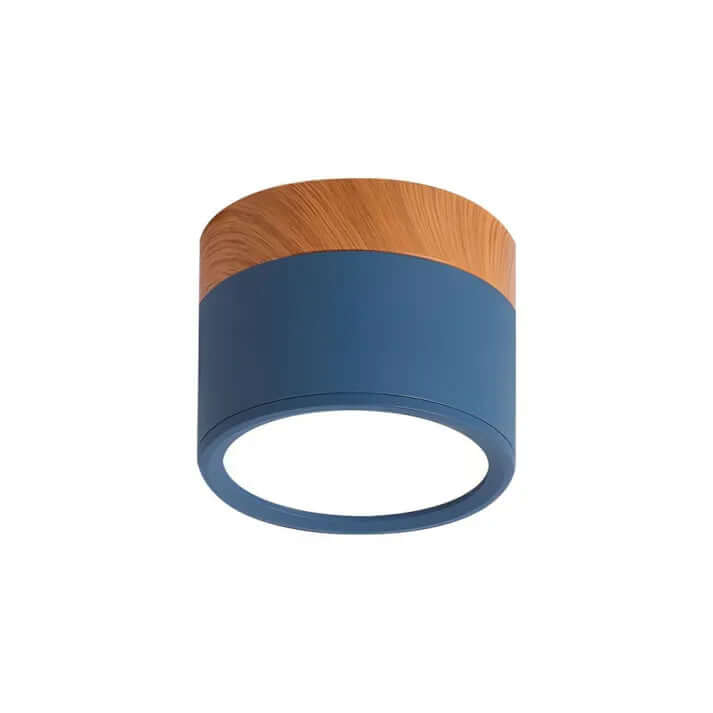 Modern Cylinder LED Ceiling Light