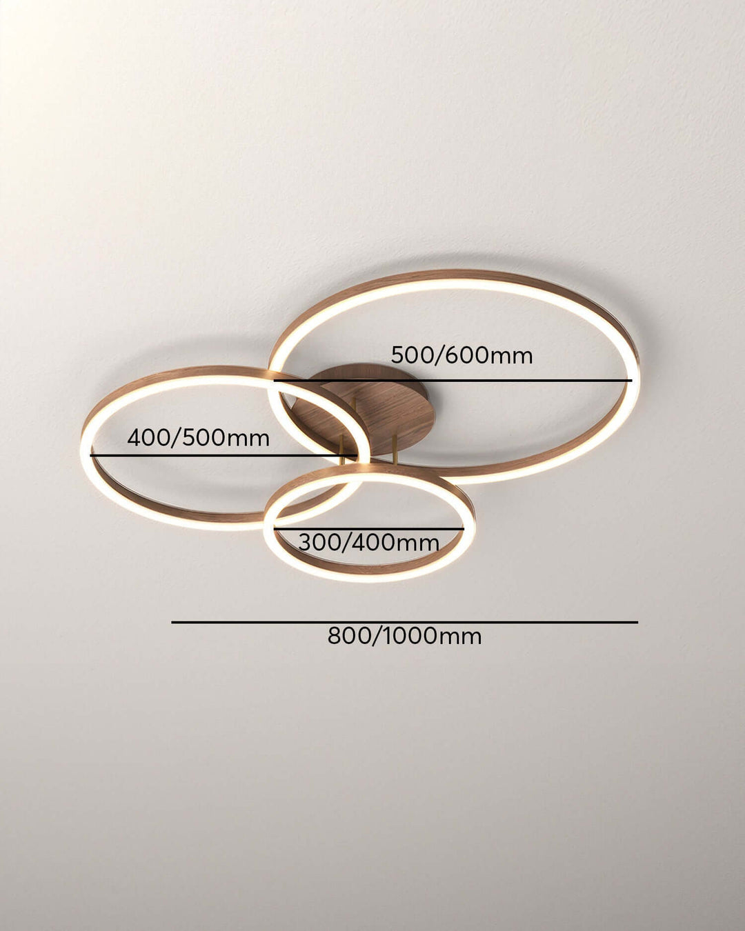 Modern LED Ring Ceiling Light Fixture