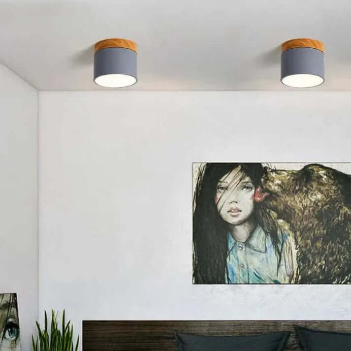 Modern Cylinder LED Ceiling Light