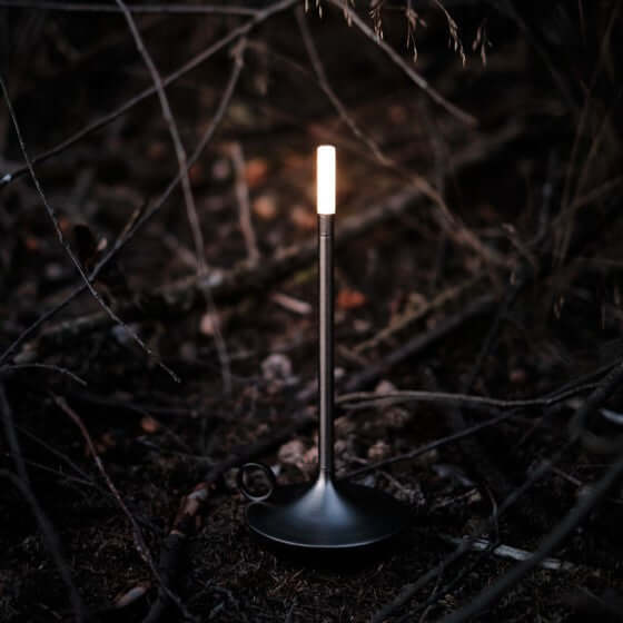 Dimmable LED Table Lamp, Cordless Accent Light