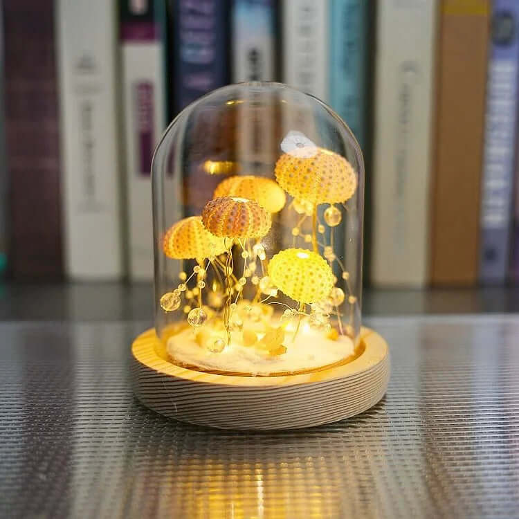 DIY Sea Urchin Night Light Kit