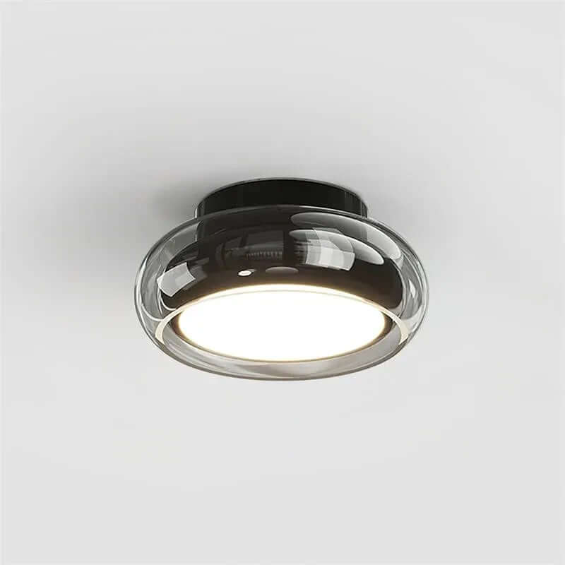 Vintage Small Acrylic LED Ceiling Light Fixture
