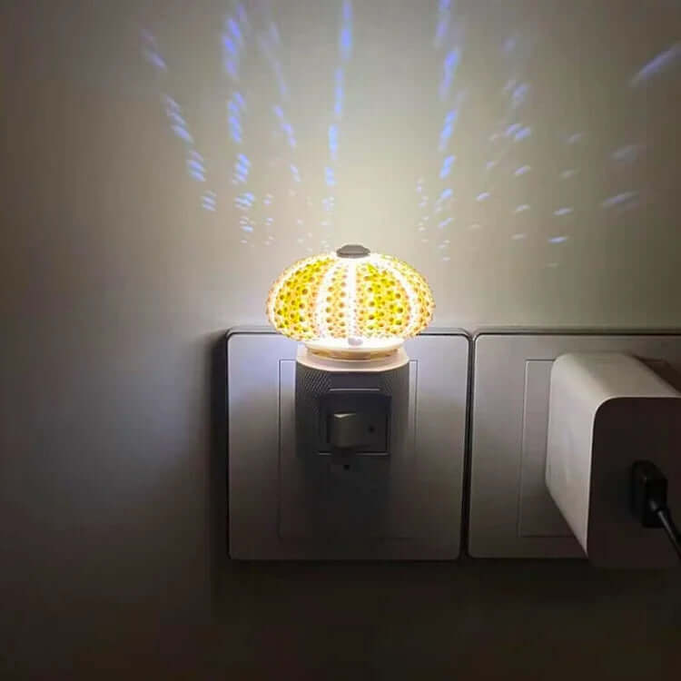 DIY Sea Urchin Night Light Kit
