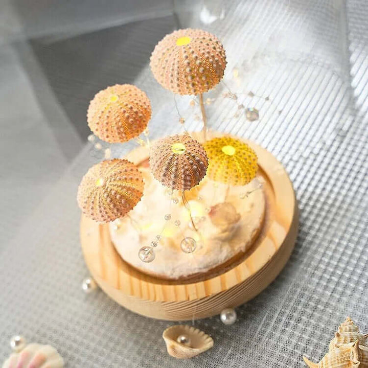 DIY Sea Urchin Night Light Kit
