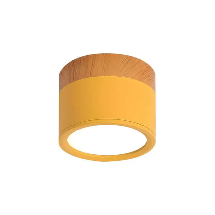 Modern Cylinder LED Ceiling Light