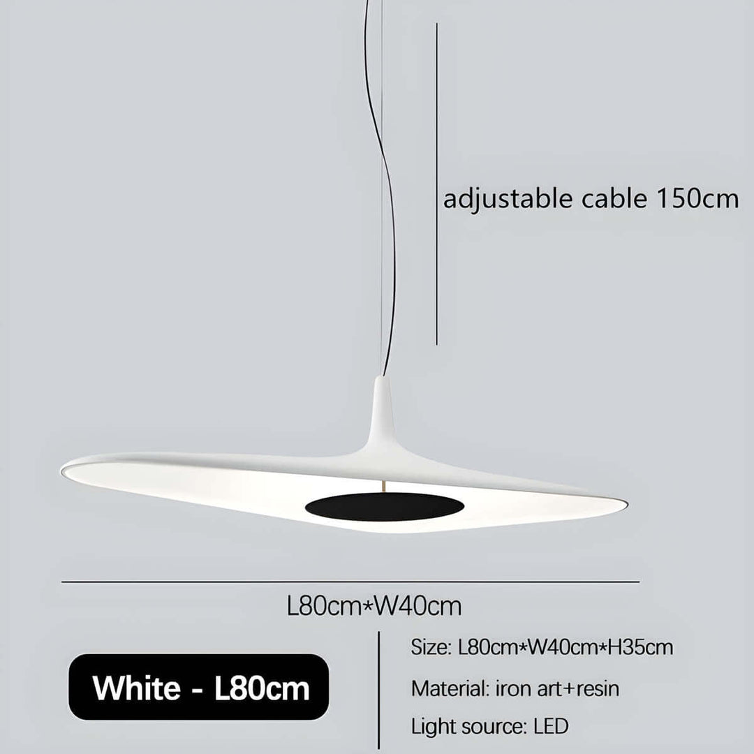 Modern Resin Pendant Light with LED 60cm/80cm