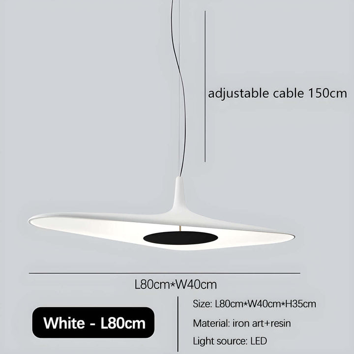 Modern Resin Pendant Light with LED 60cm/80cm