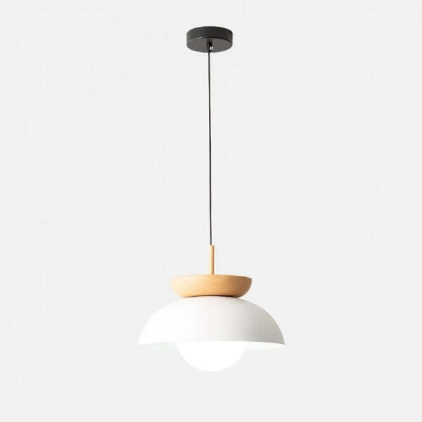 Modern Semi-Wooden Pendant Light