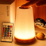 13 Colors - with Remote Control / 2.6" x 6"