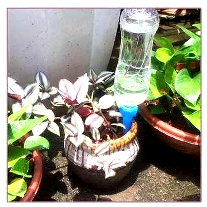 Eco-friendly automatic watering spikes. Reuse bottles to hydrate indoor & outdoor plants with adjustable flow.