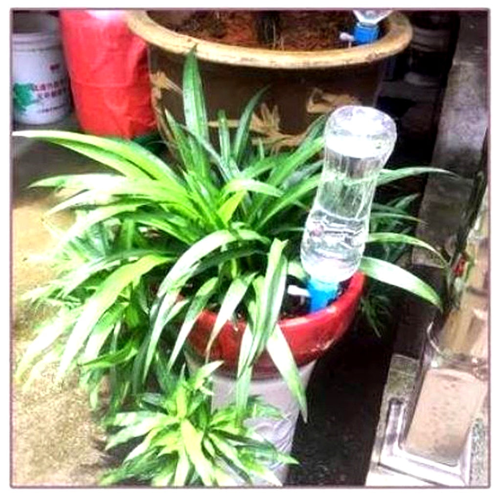 Adjustable flow irrigation spikes for plant hydration. A 12-pack automatic watering system for all plants.