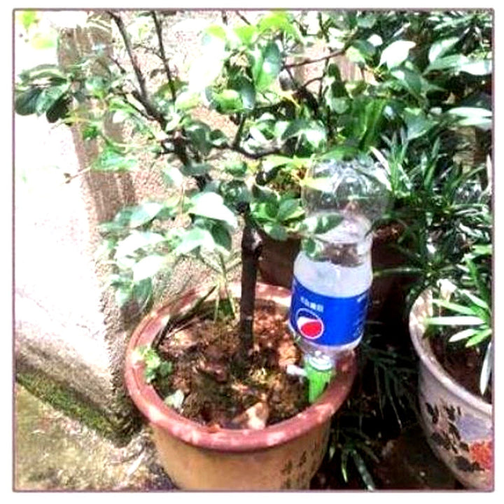 Easy-to-use automatic watering spikes for indoor & outdoor plants. Adjustable flow ensures perfect plant care.