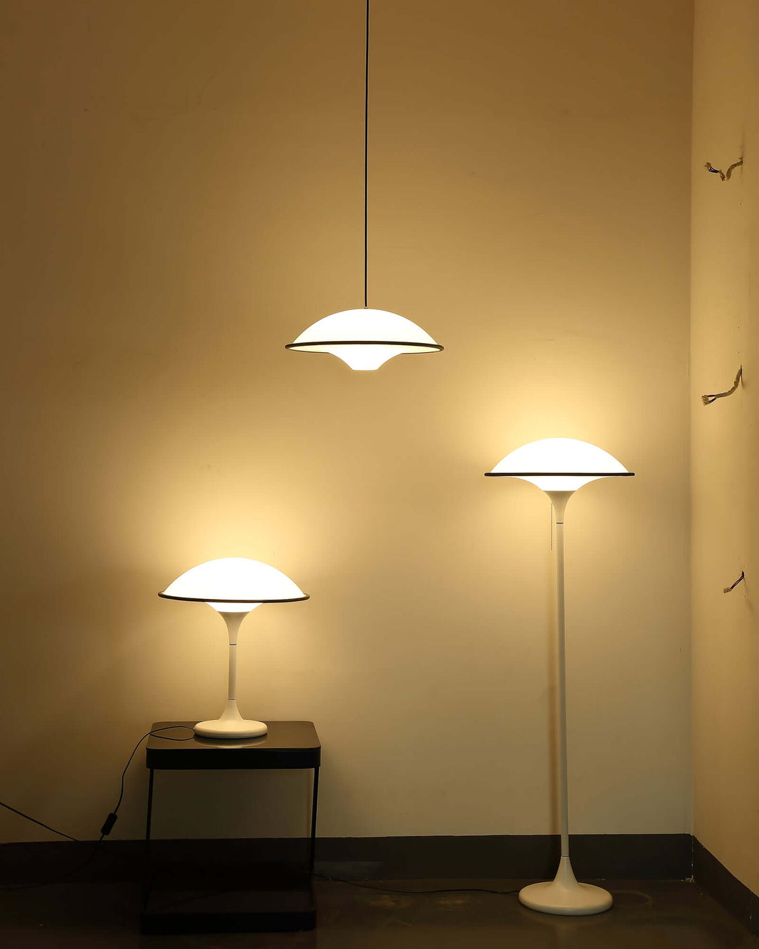 Modern Dome Table Lamp with Black Trim