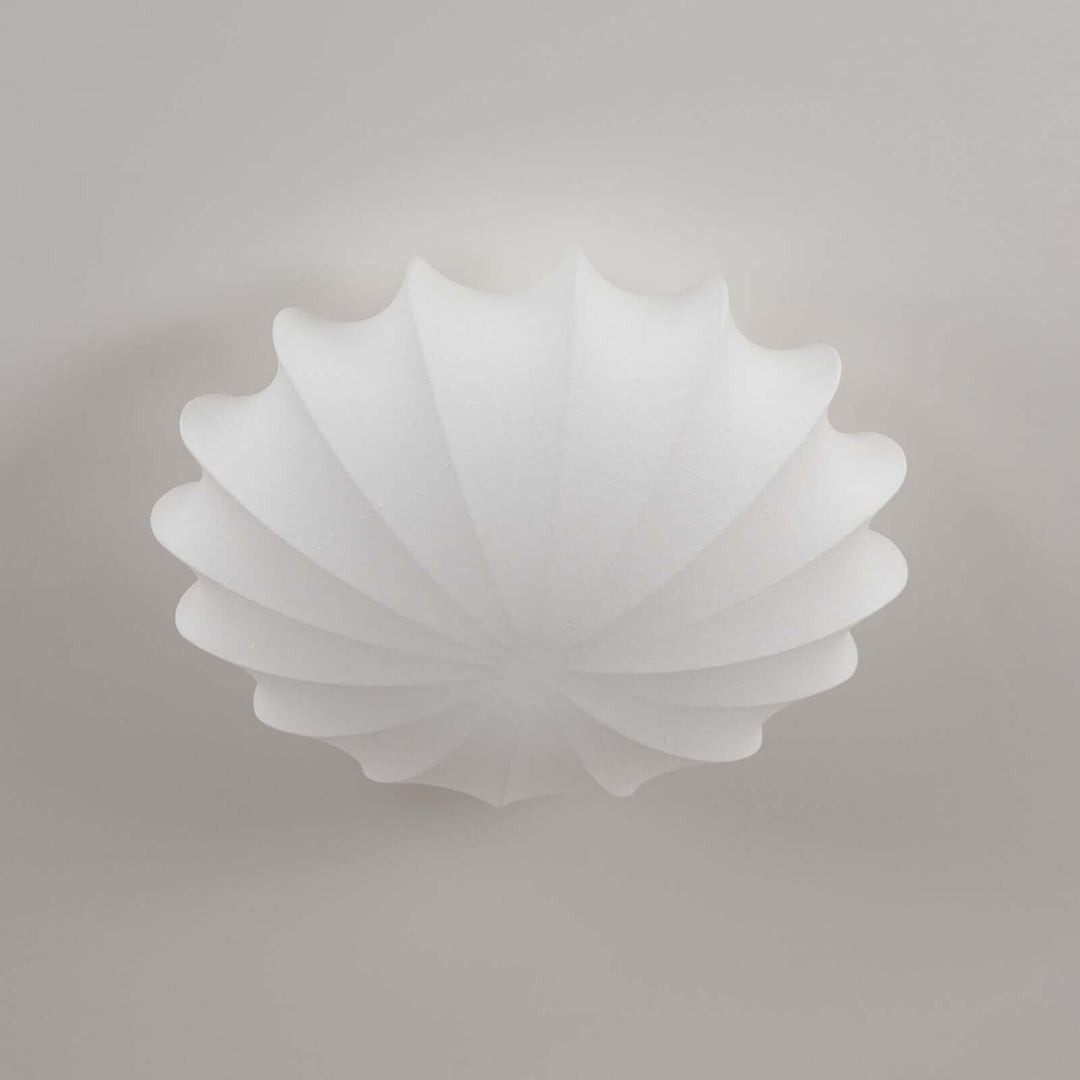 Modern Seashell Ceiling Light Fixture