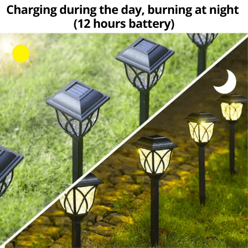 Solar Garden Lights