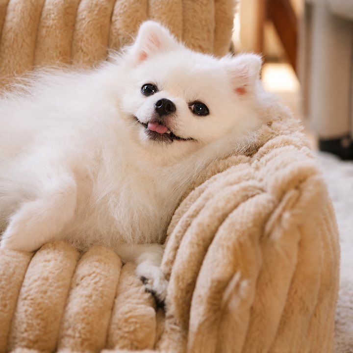 Orthopaedic Washable Dog Sofa for All Breeds