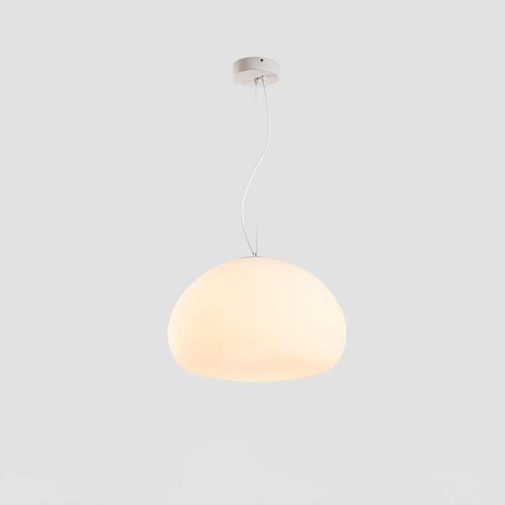 Glass Globe Pendant Light Fixture