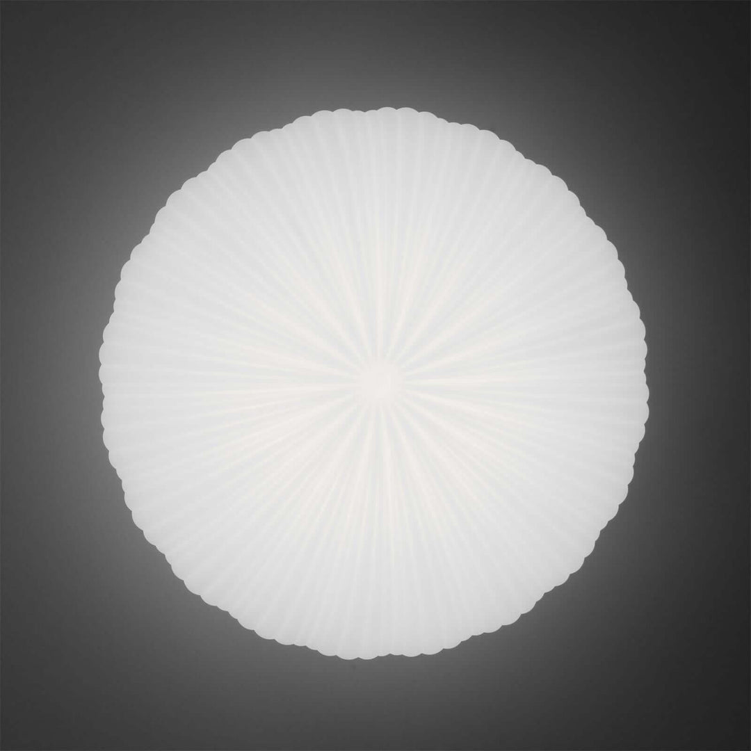 Modern LED Ceiling Light with Remote Dimmer