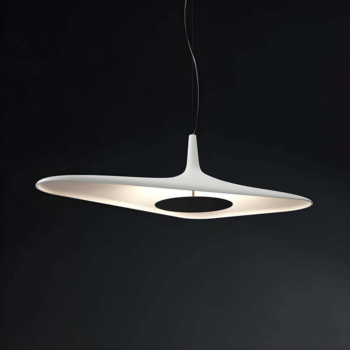 Modern Resin Pendant Light with LED 60cm/80cm