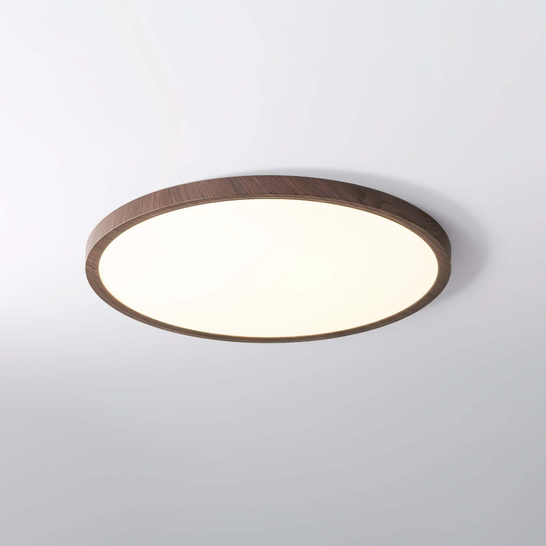 Ultrathin Round LED Ceiling Light Fixture