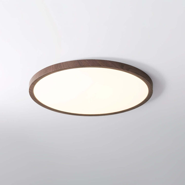 Ultrathin Round LED Ceiling Light Fixture