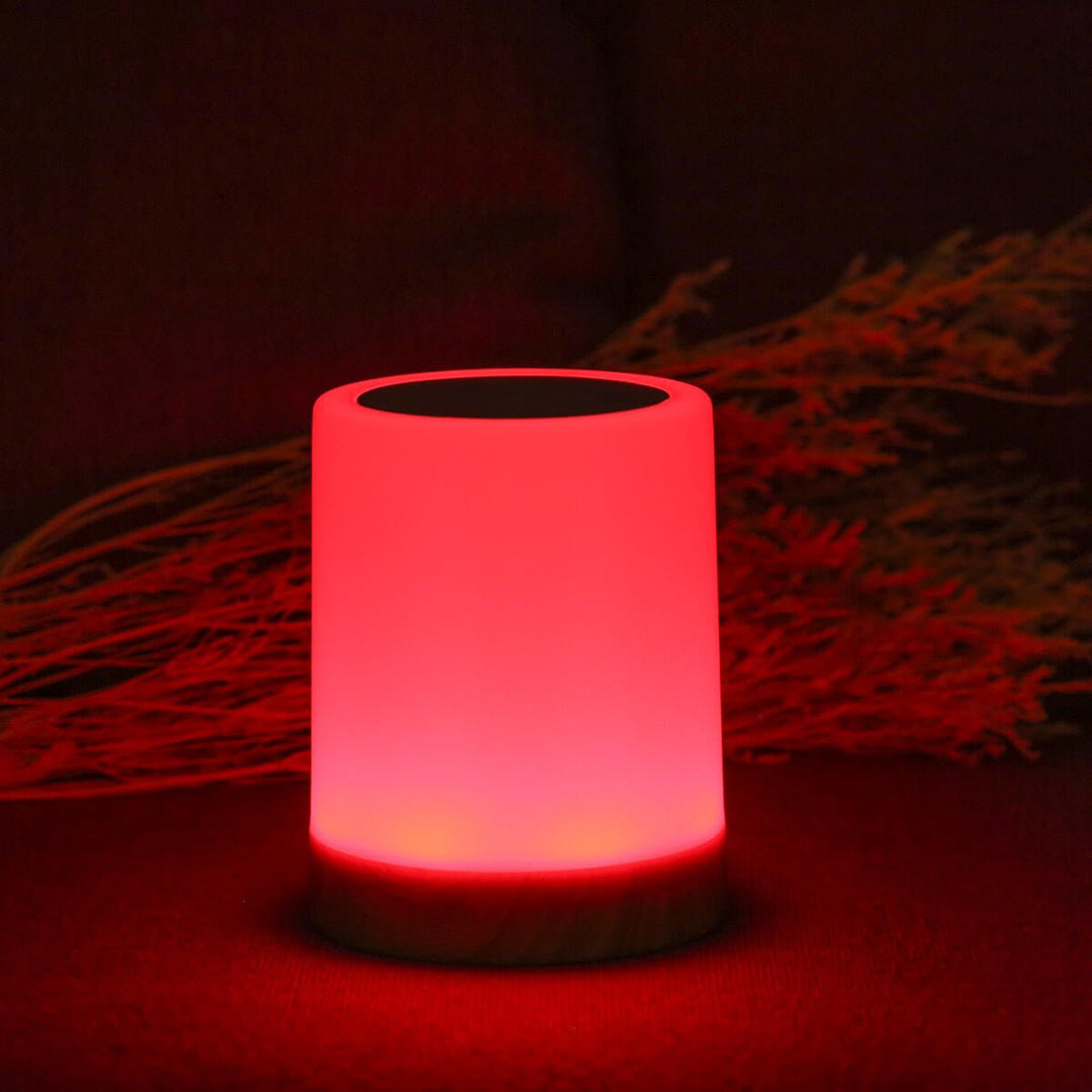 Portable LED Table Lamp with Touch Control