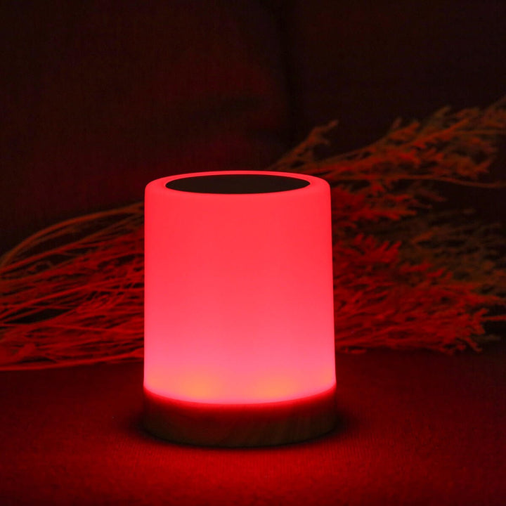 Portable LED Table Lamp with Touch Control