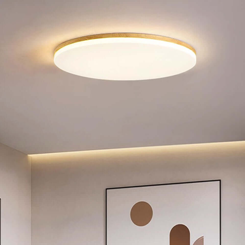 Round Acrylic LED Ceiling Light