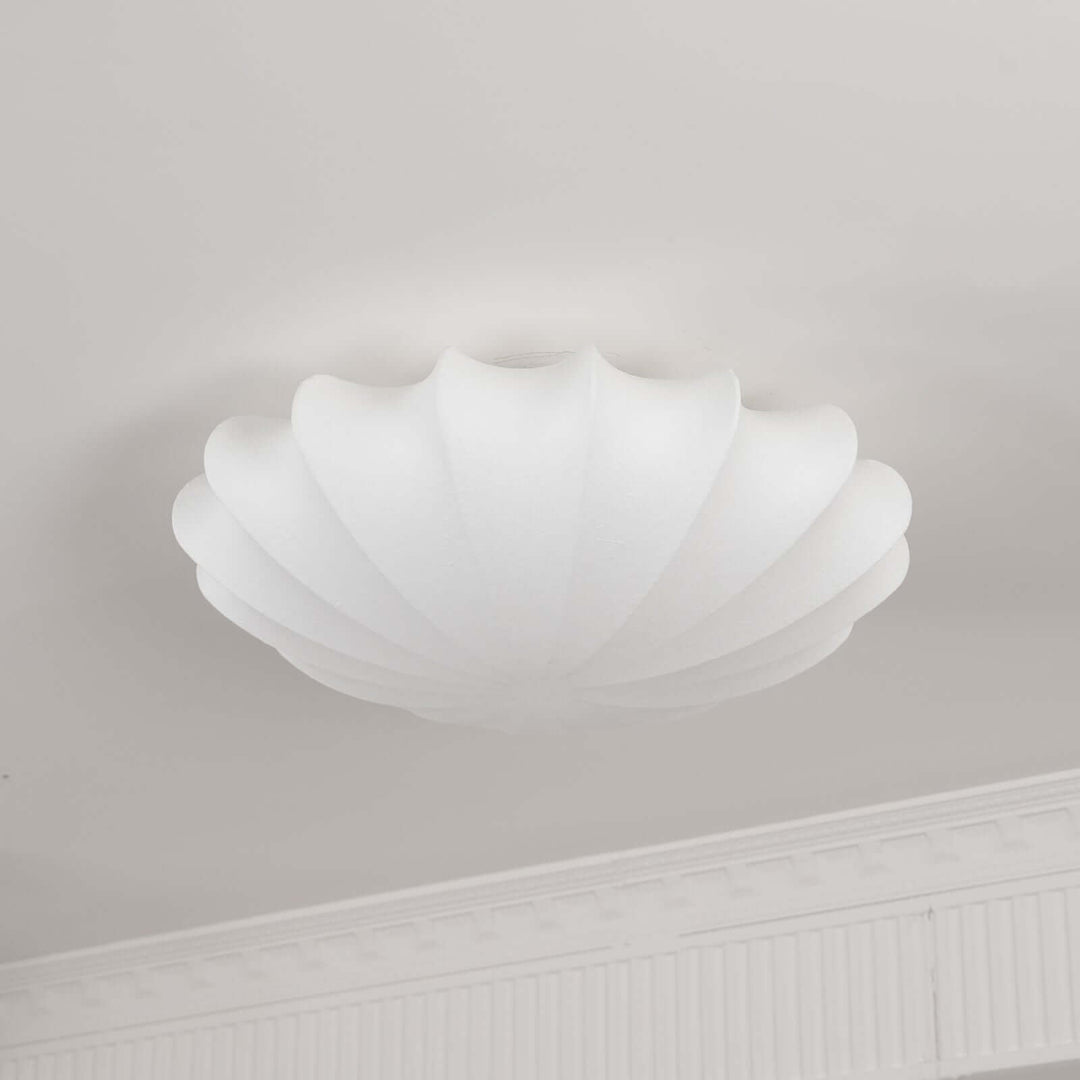 Modern Seashell Ceiling Light Fixture