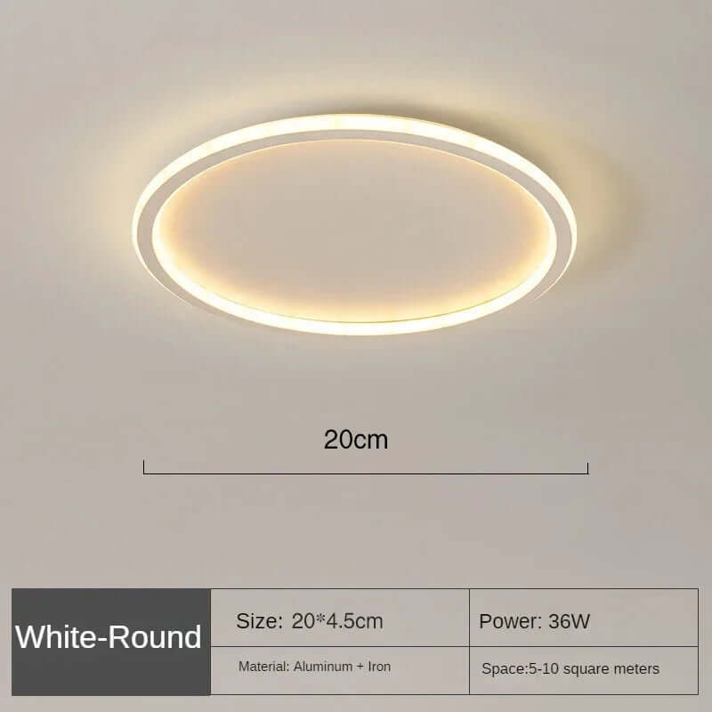 Modern Round LED Ceiling Light