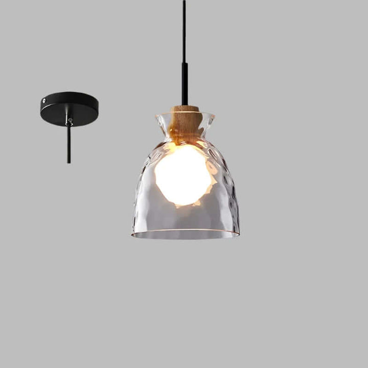 Modern Glass Pendant Light Fixture Hanging Lamp