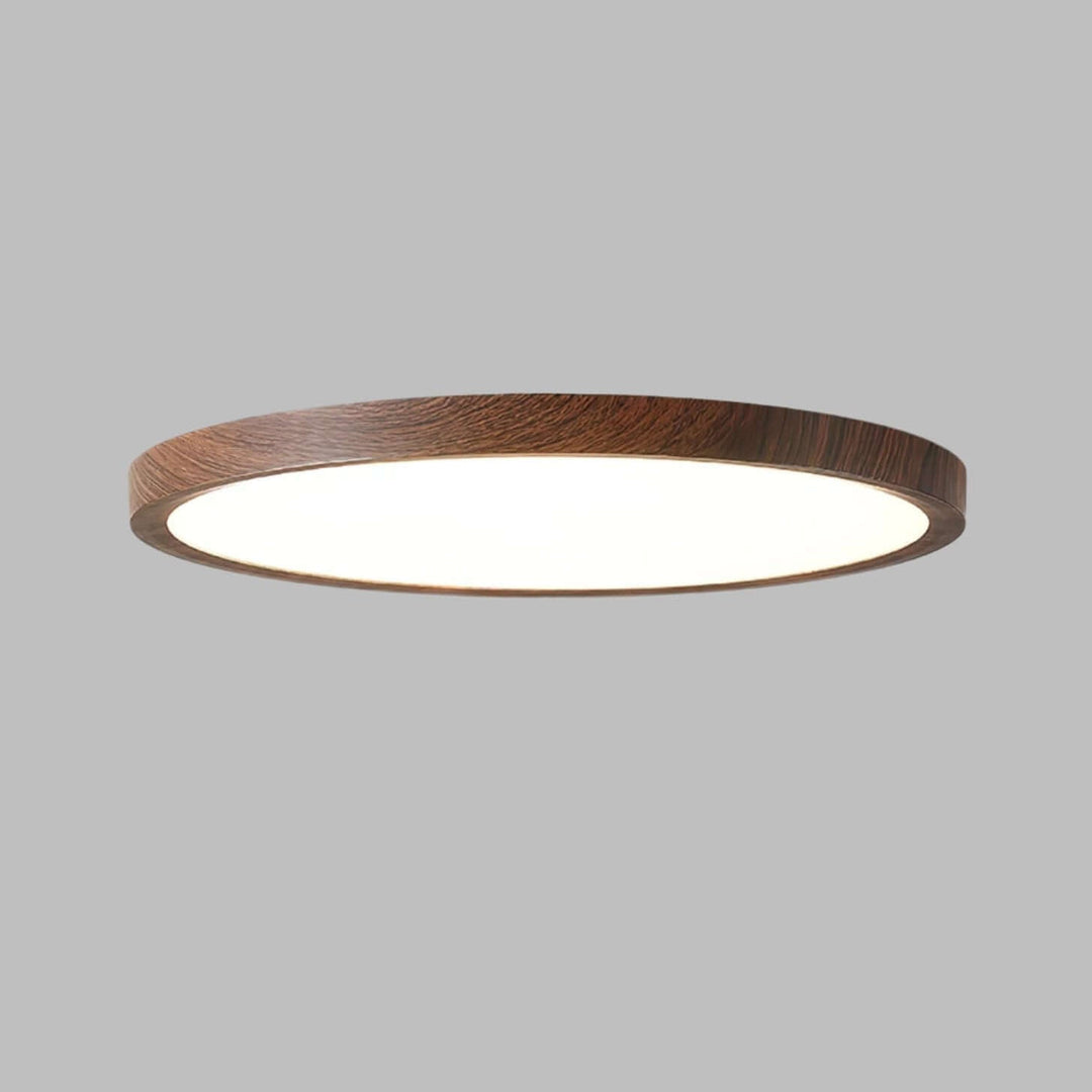 Ultrathin Round LED Ceiling Light Fixture