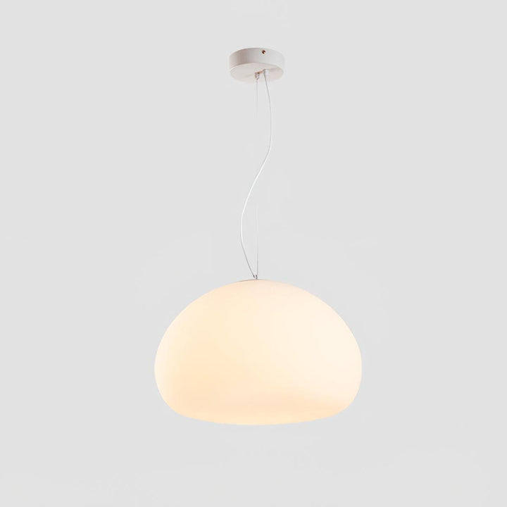 Glass Globe Pendant Light Fixture