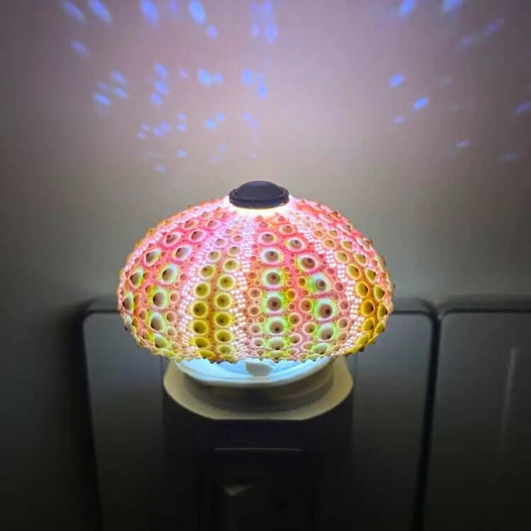 DIY Sea Urchin Night Light Kit