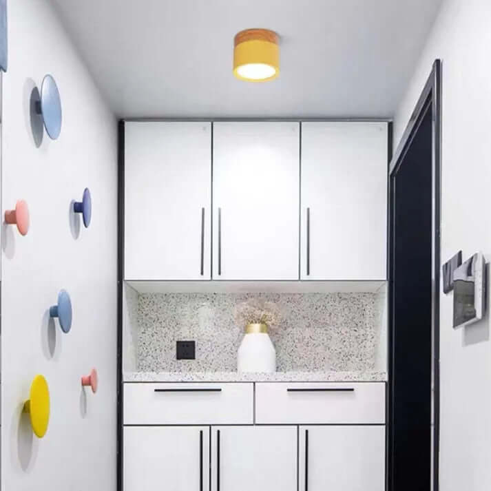 Modern Cylinder LED Ceiling Light