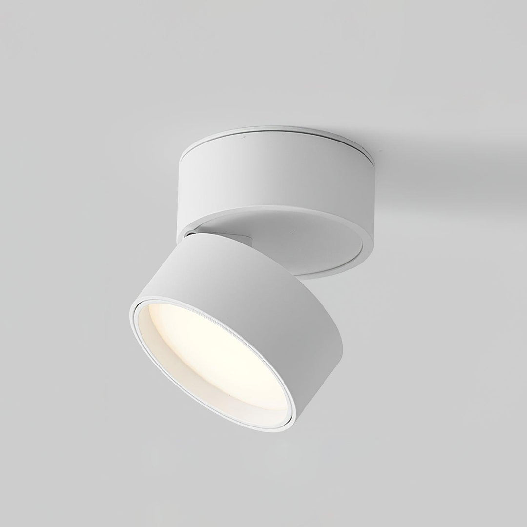 Adjustable Ceiling Spotlight Lamp, Rotatable, Warm White