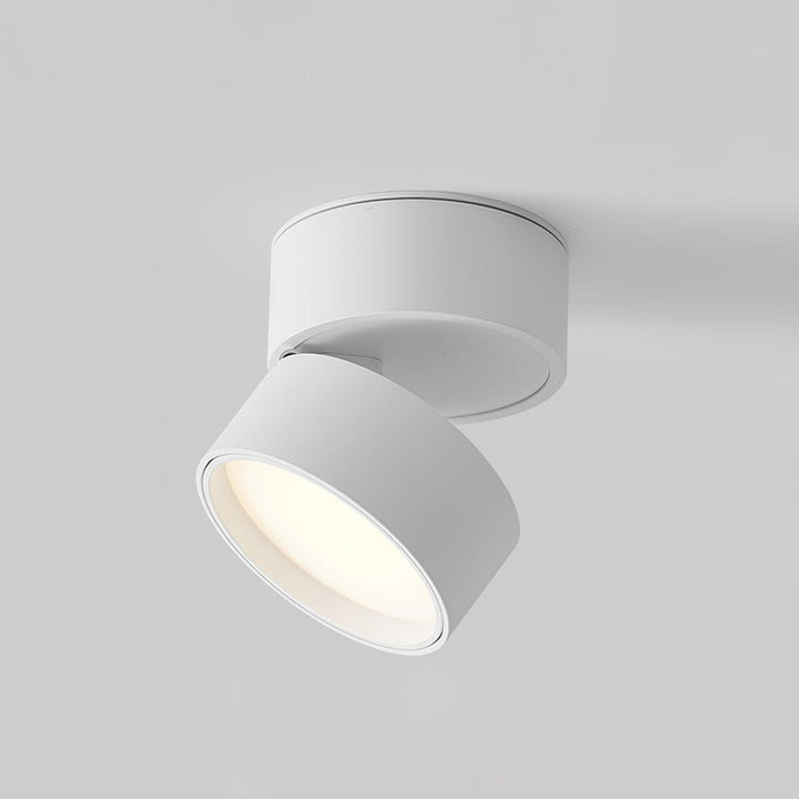 Adjustable LED Ceiling Spotlight Fixture, Warm White, 10cm