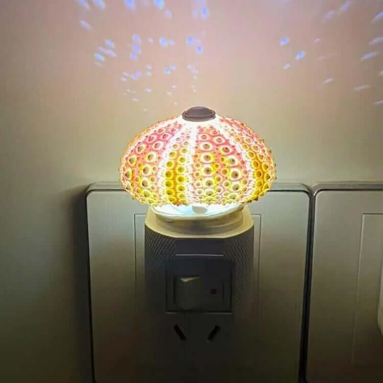 DIY Sea Urchin Night Light Kit