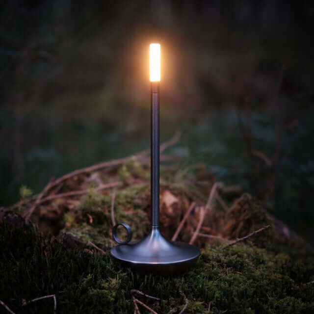 Dimmable LED Table Lamp, Cordless Accent Light