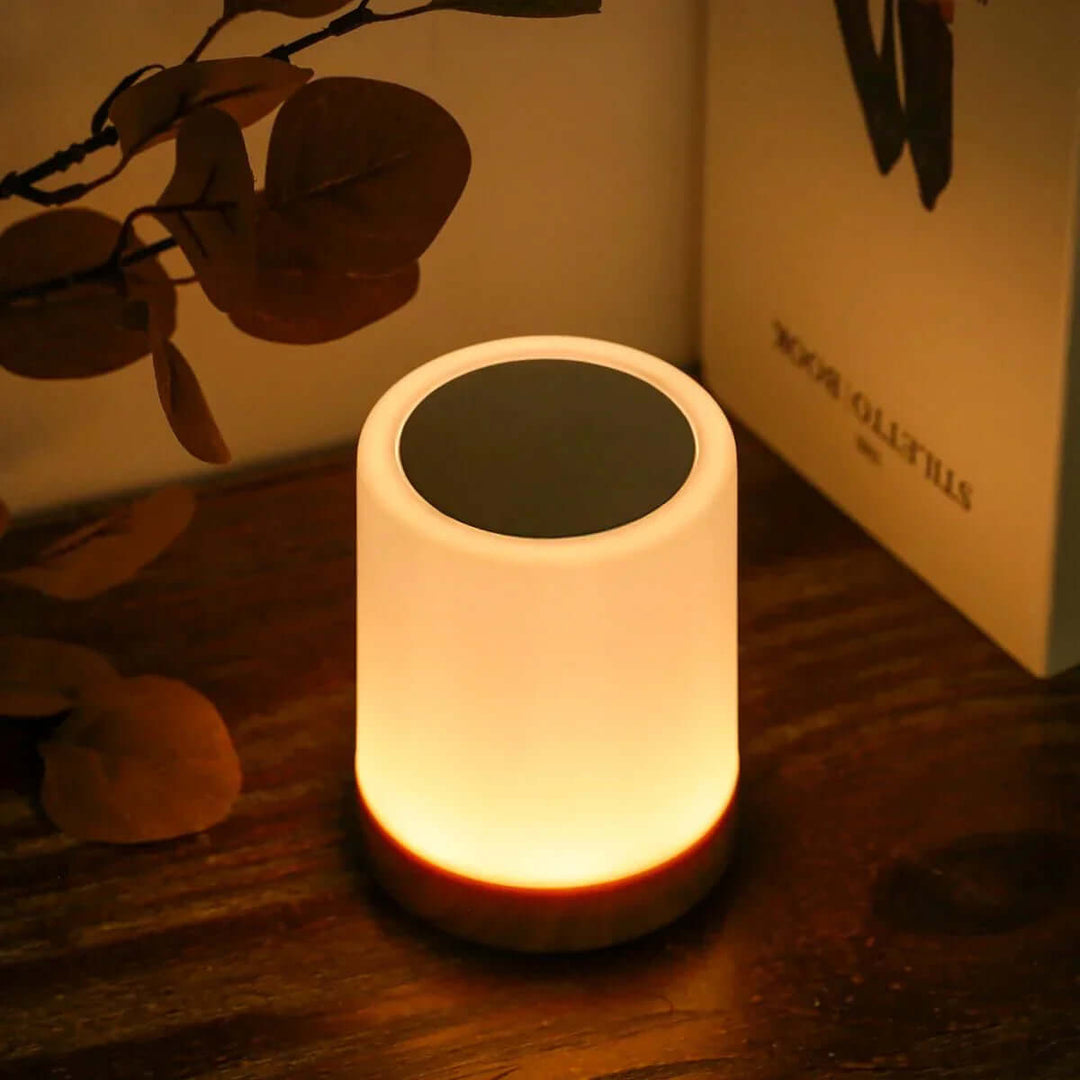 Portable LED Table Lamp with Touch Control