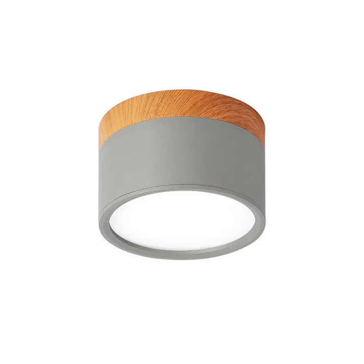 Modern Cylinder LED Ceiling Light