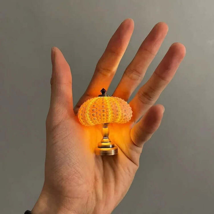 DIY Sea Urchin Night Light Kit