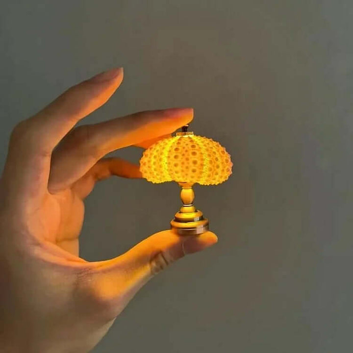 DIY Sea Urchin Night Light Kit