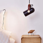 Black & Gold & Walnut paint color
