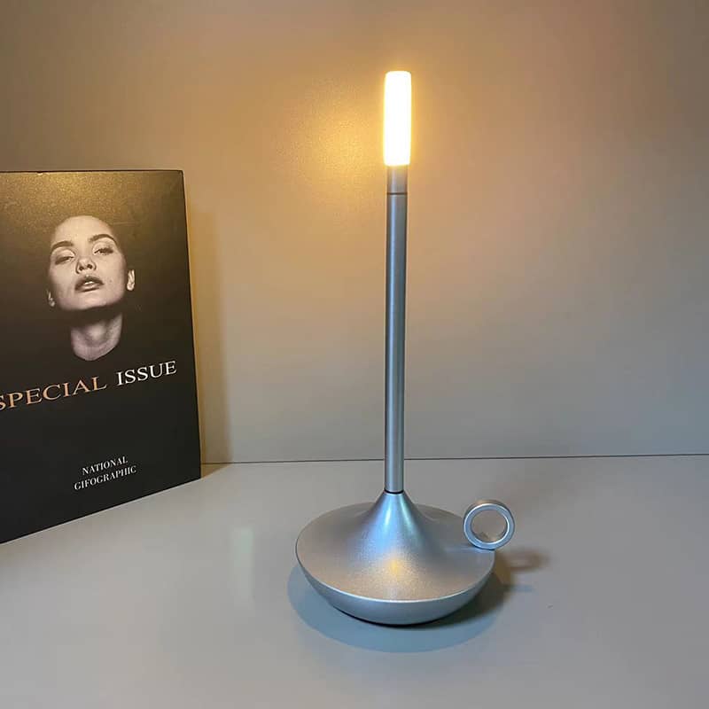 Dimmable LED Table Lamp, Cordless Accent Light