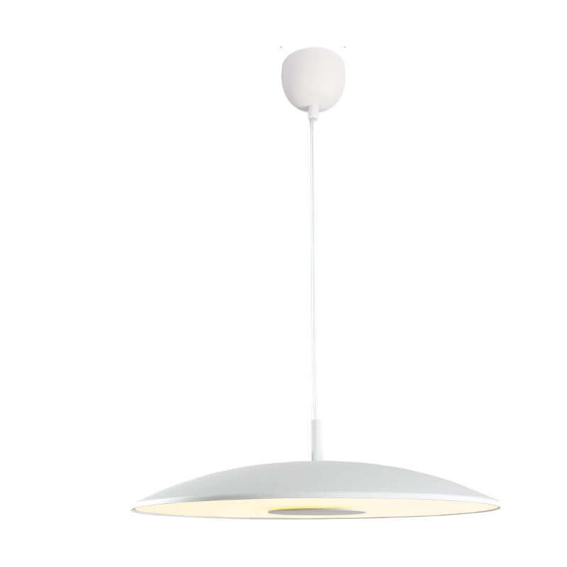 Modern Iron Nickel LED Pendant Light