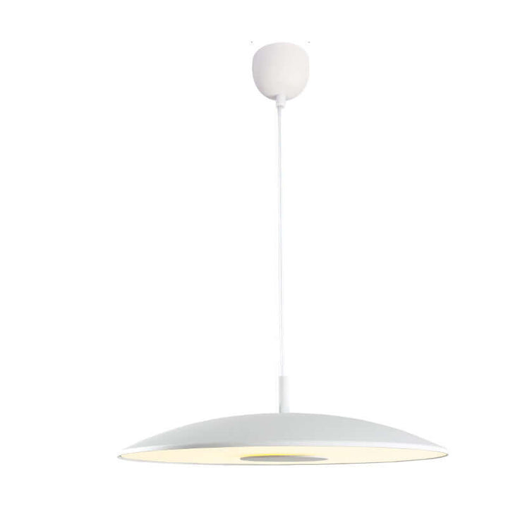 Modern Iron Nickel LED Pendant Light