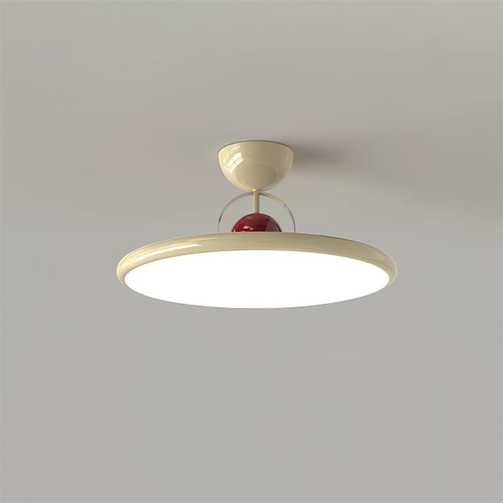Modern Acrylic LED Ceiling Light Fixture