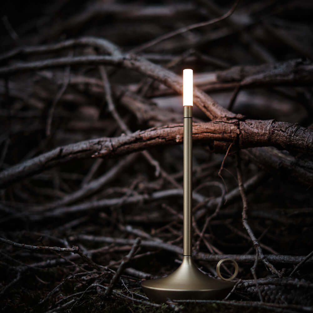 Dimmable LED Table Lamp, Cordless Accent Light