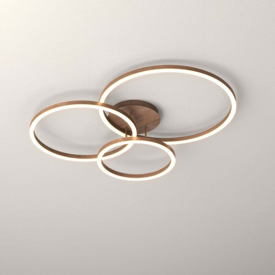 Modern LED Ring Ceiling Light Fixture